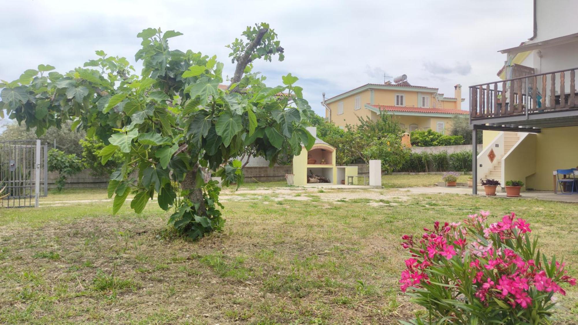 Casa Su Rimediu Βίλα Orosei Εξωτερικό φωτογραφία
